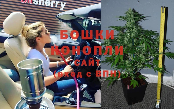 ECSTASY Богородск