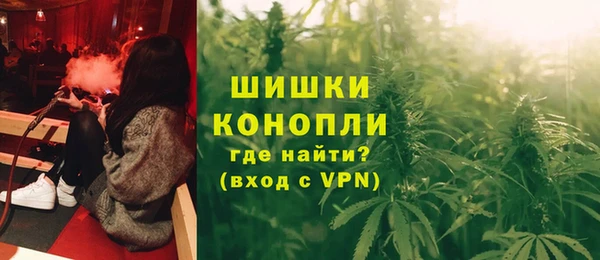 прущие грибы Белоозёрский